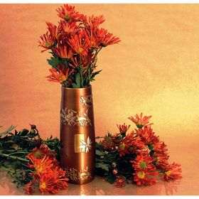 Mimoza ���� ��� ������